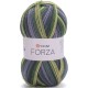 YARNART FORZA 2505