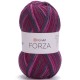 YARNART FORZA 2508