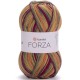 YARNART FORZA 2509