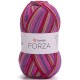 YARNART FORZA 2510