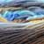 8102_fresco